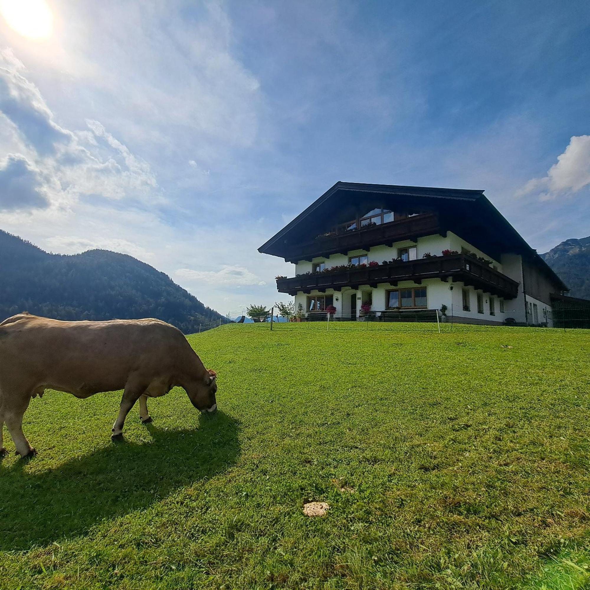 Bommerhof Waidring Extérieur photo